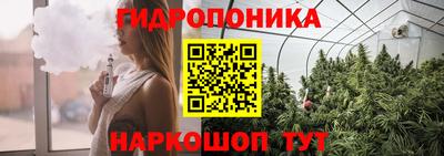 гашик Дубна