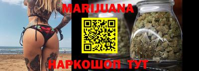гашик Дубна