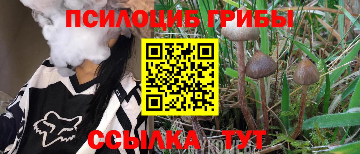 Галлюциногенные грибы мицелий  Вход с VPN  Назрань  Псилоцибиновые грибы MAGIC MUSHROOMS 
