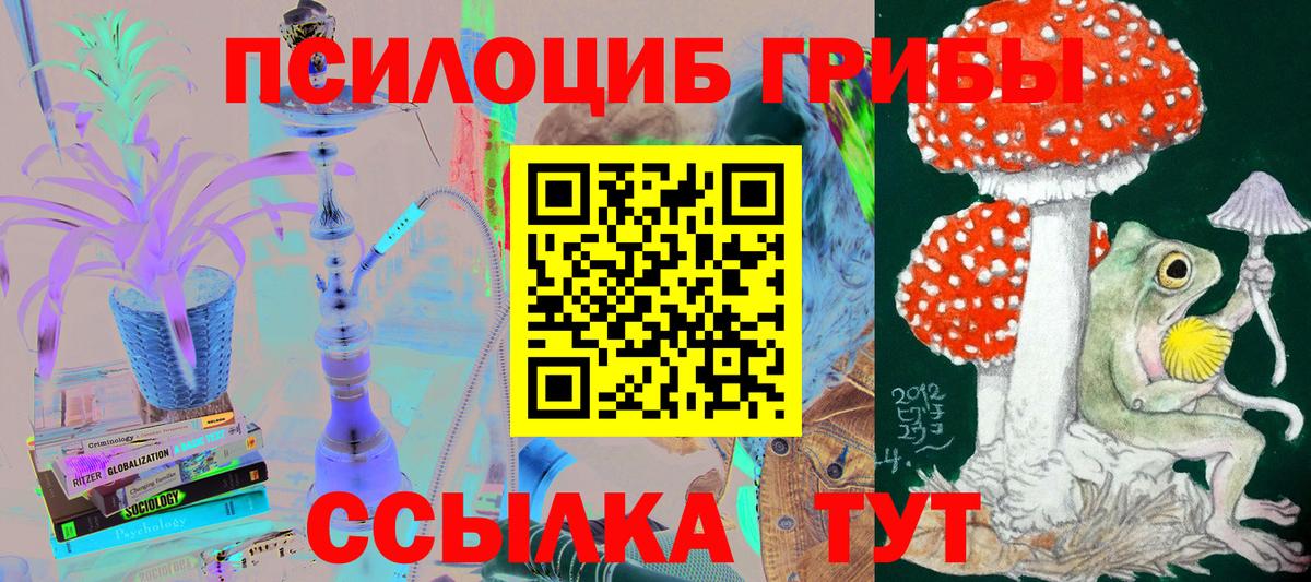 Псилоцибиновые грибы Psilocybine cubensis Назрань